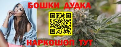apvp Нальчик