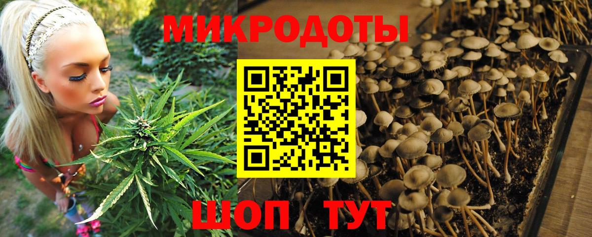 Галлюциногенные грибы Psilocybine cubensis Усолье-Сибирское